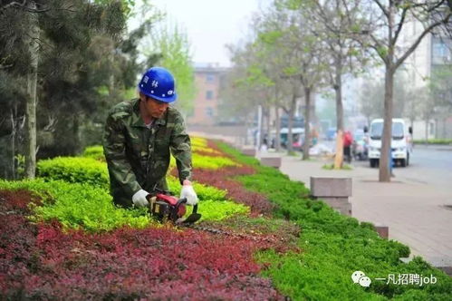 难得一见的园林绿化施工过程全记录