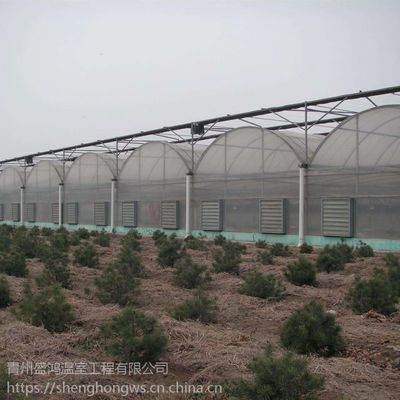 蔬菜花卉水果种植基地大棚建设连栋温室大棚骨架工程施工现场盛鸿温室